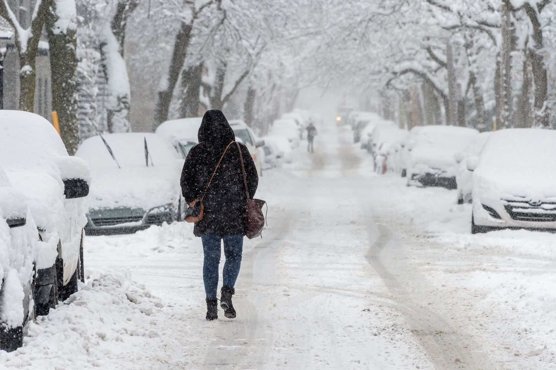 Fruits et légumes riches en vitamines en hiver incluant agrumes, kiwi, kaki et mangue – Canadawie