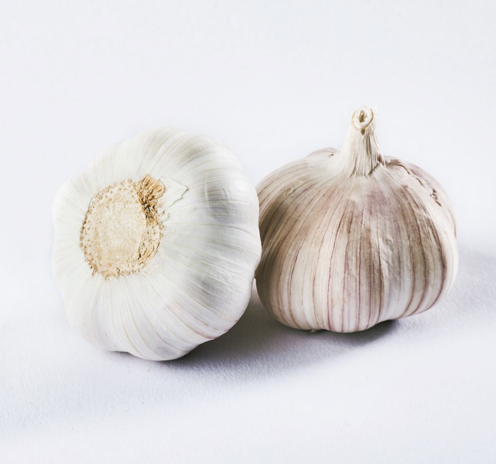 Dos bulbos de ajo sobre una superficie blanca, ambos con piel blanca parecida al papel y formas bulbosas.