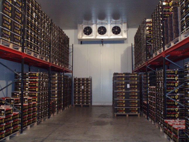 Interior de un almacén frigorífico con palets de cajas apilados en estanterías y una unidad de refrigeración.
