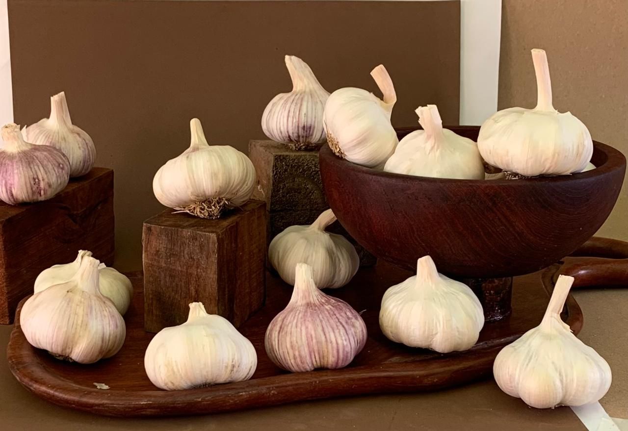 Bulbos de ajo en bandejas de madera, algunos en un recipiente, sobre un fondo marrón.