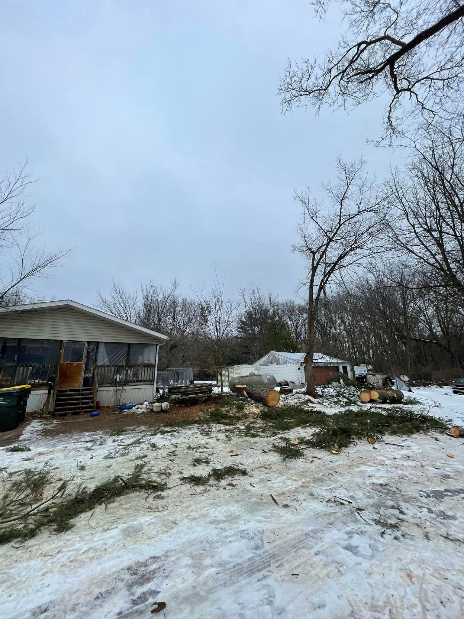 A snowy yard with a house in the background and trees in the foreground.
