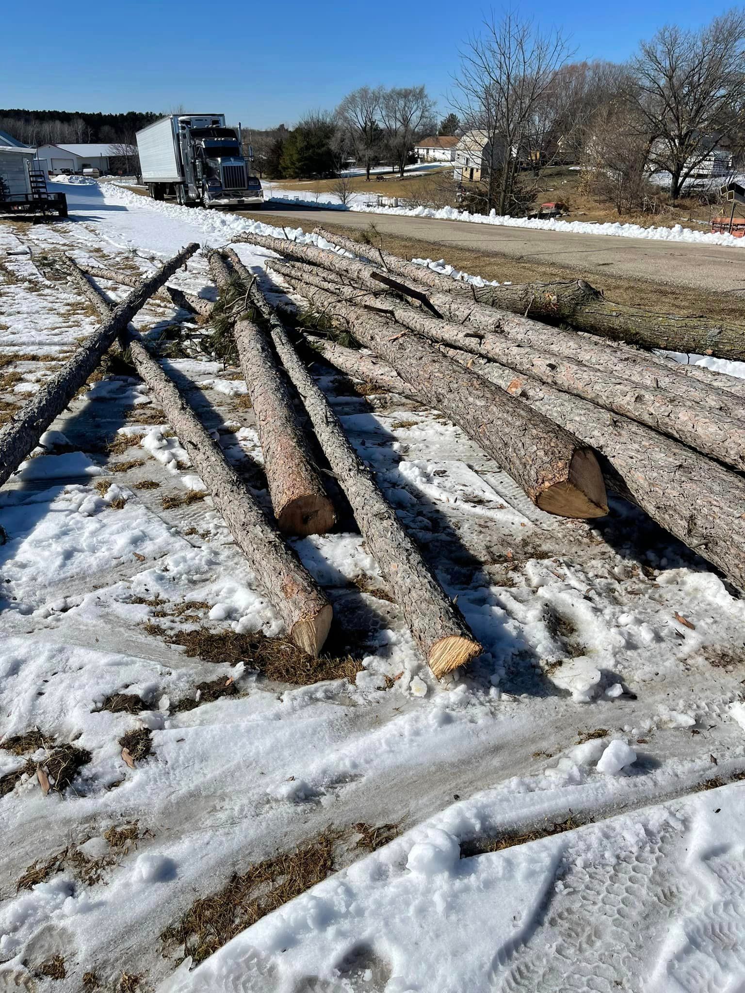 A pile of logs sitting on top of a snow covered field.
