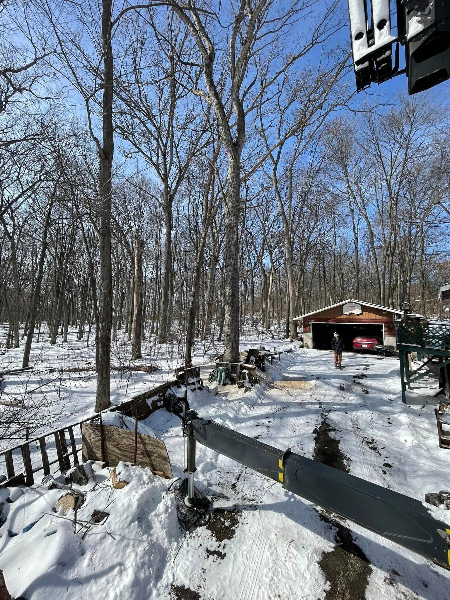 A snowy forest with trees covered in snow and a house in the background.