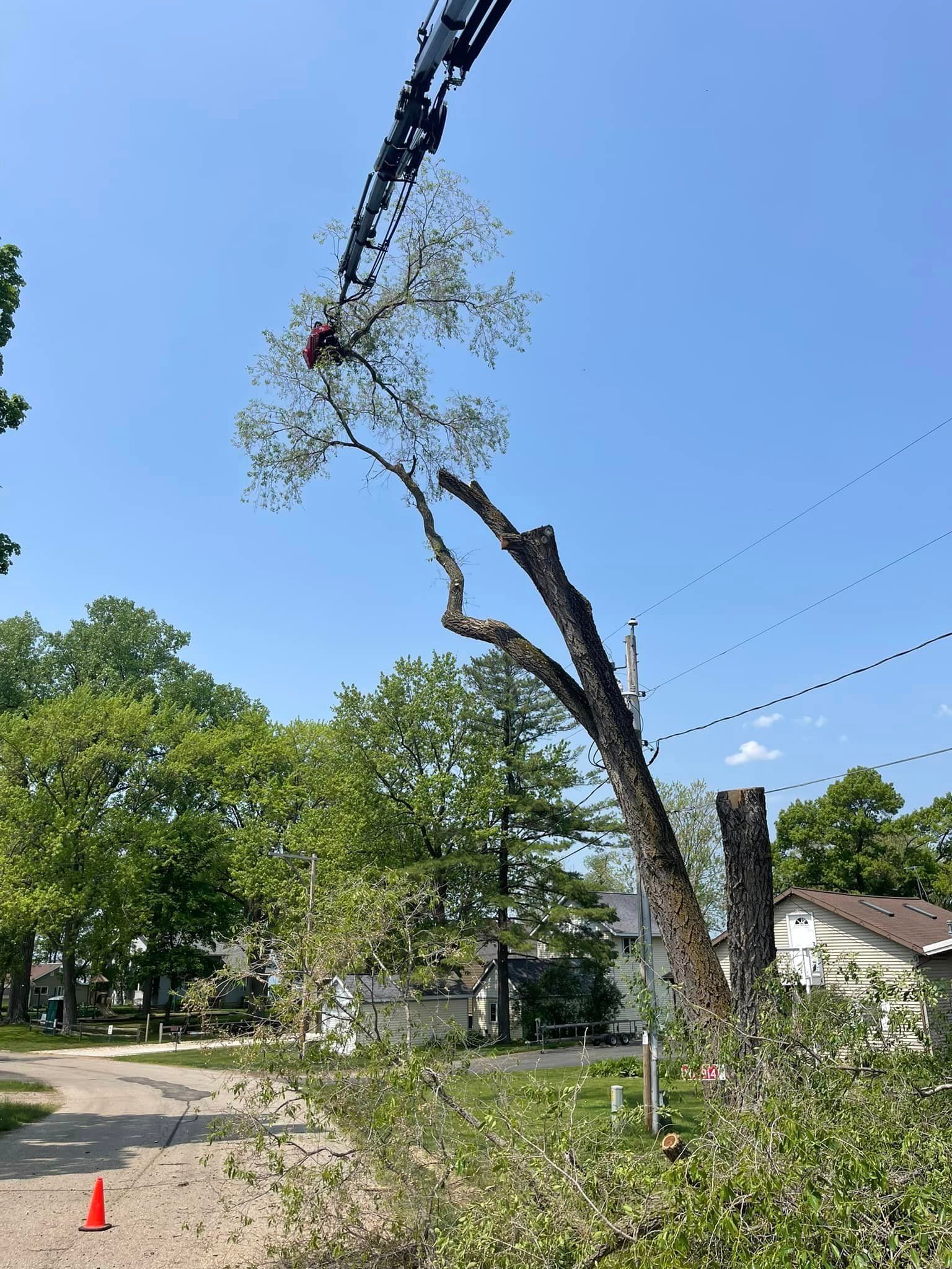 A crane is cutting down a tree in a yard.