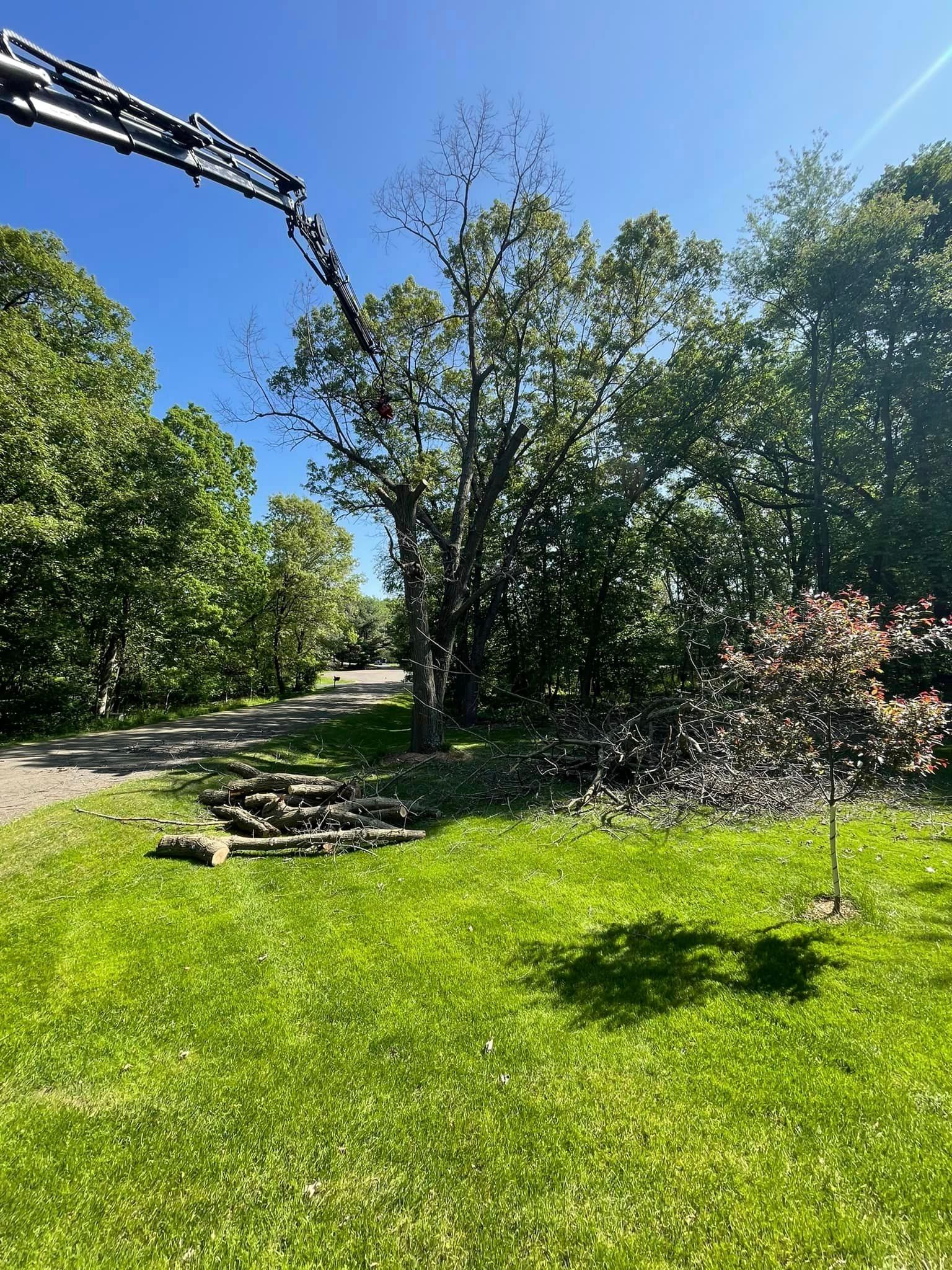 A crane is lifting a tree in a yard.