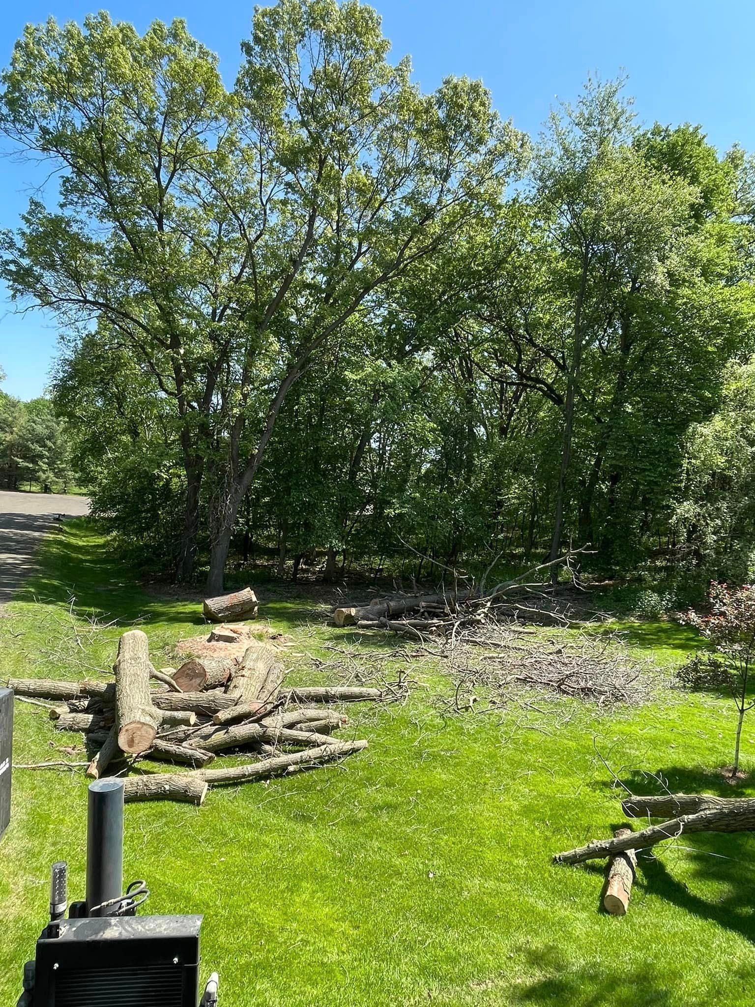 A pile of logs in a grassy field with trees in the background.