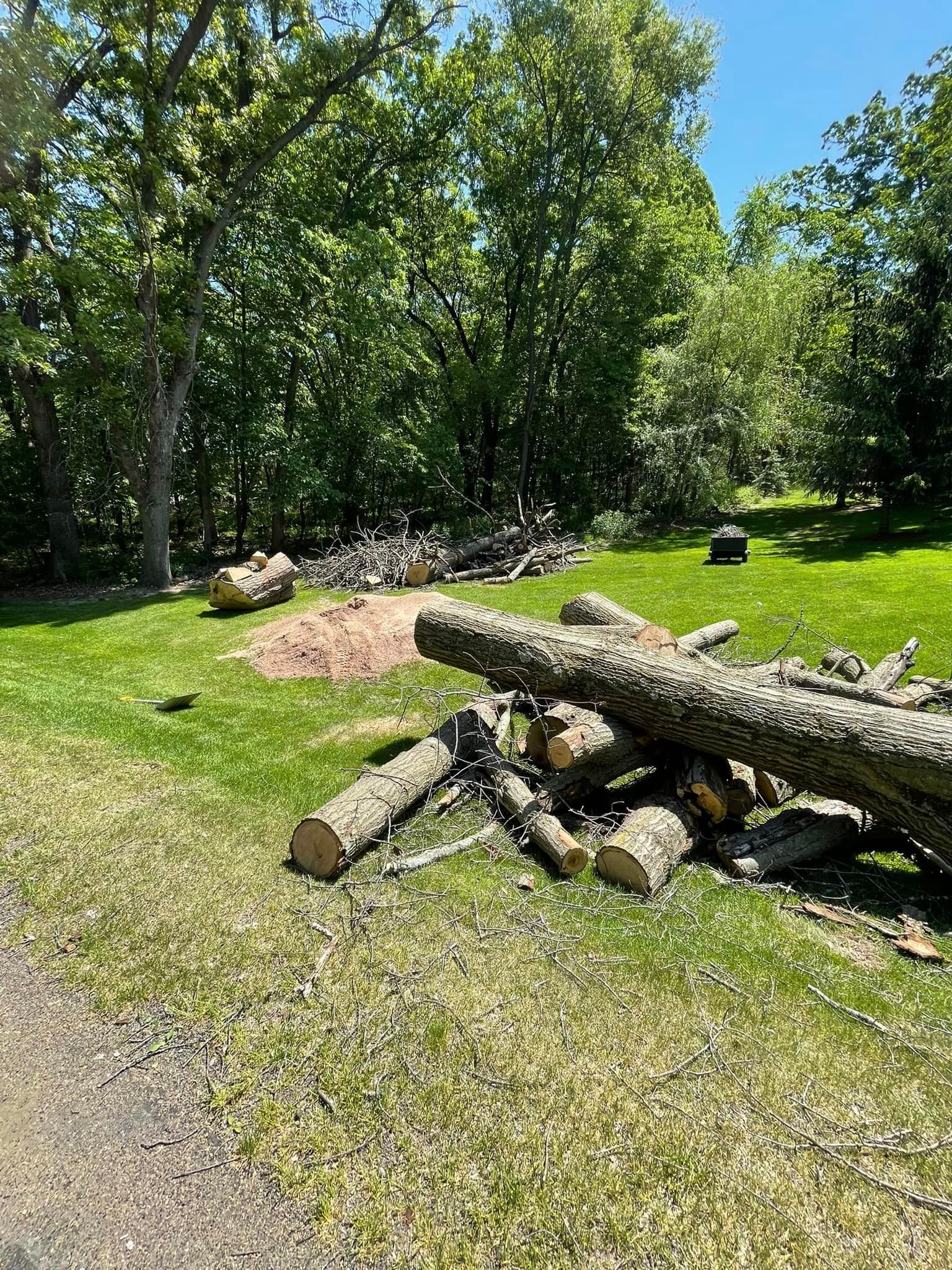 A pile of logs sitting on top of a lush green field.