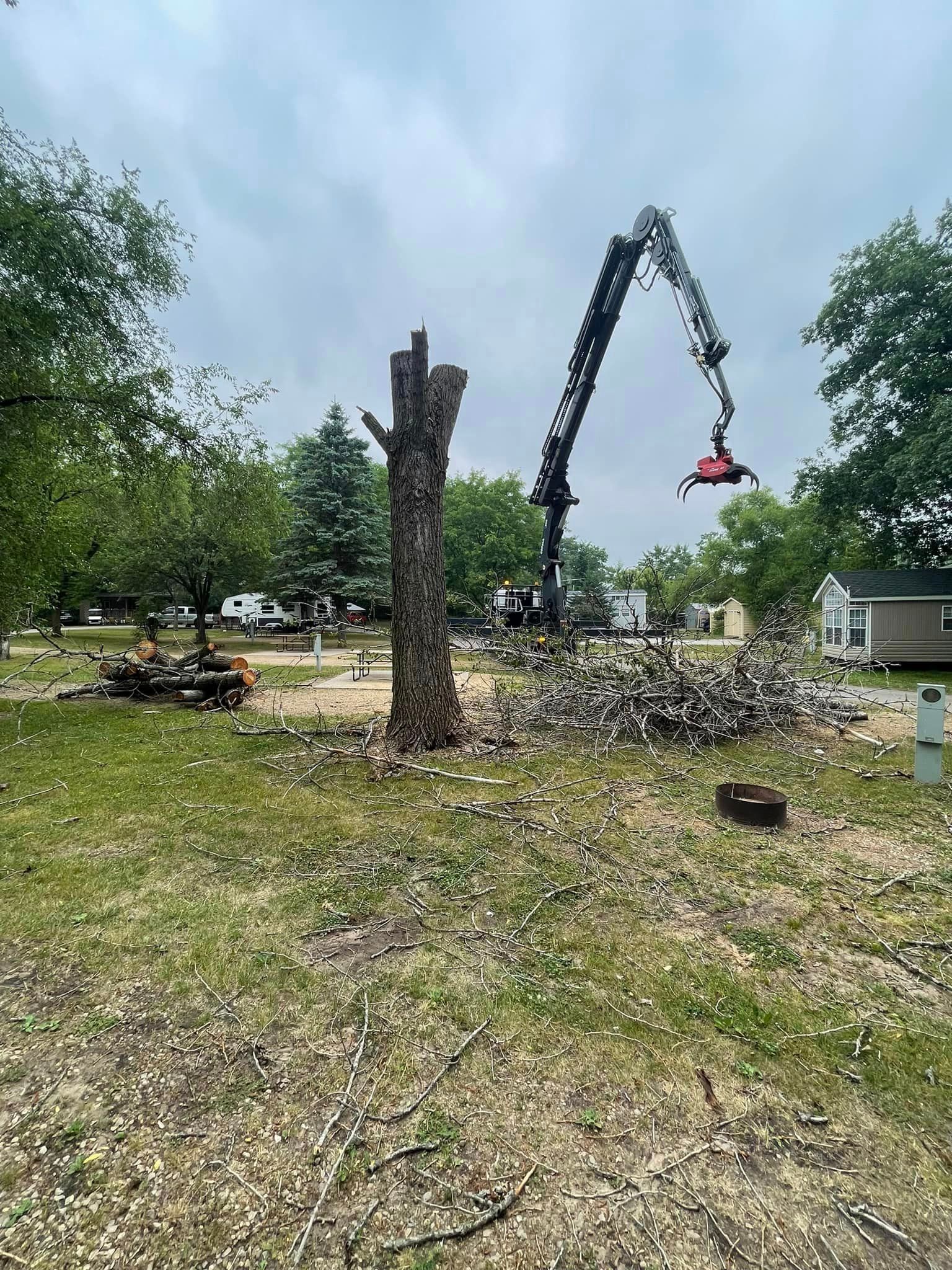 A crane is cutting down a tree in a field.