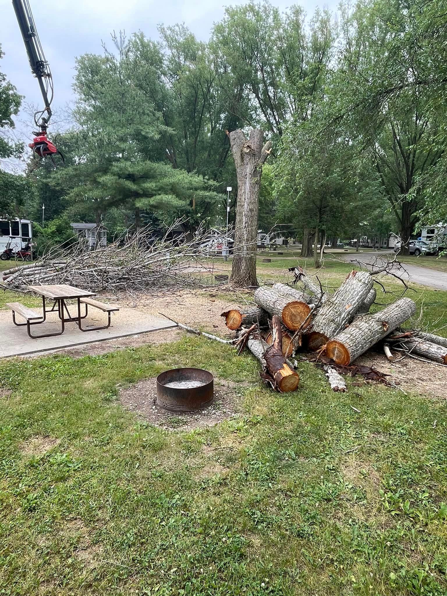 A pile of logs is sitting in the grass next to a picnic table.