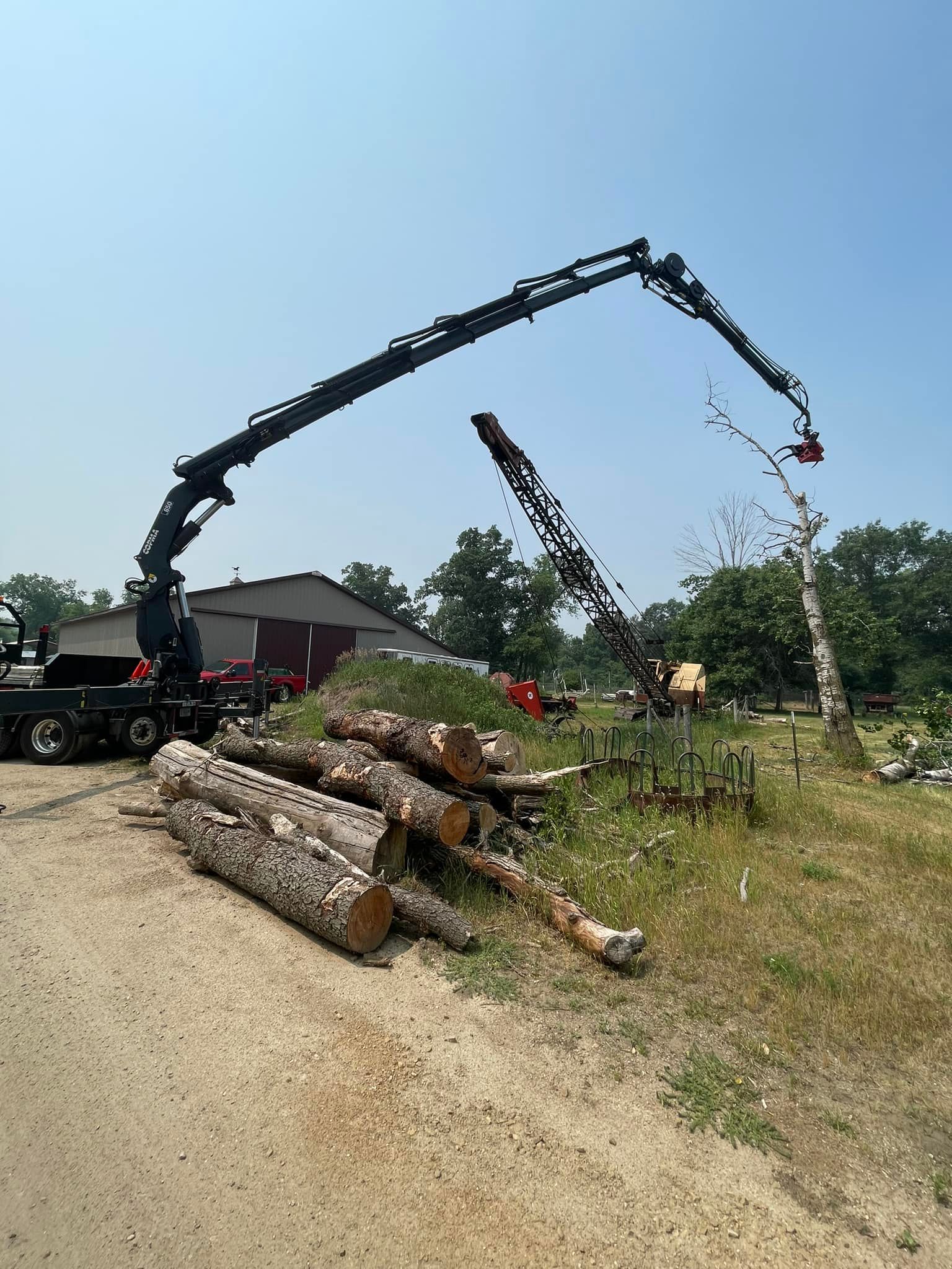 Truck with crane cutting down a tree, logs on the ground, sunny day, rural setting.