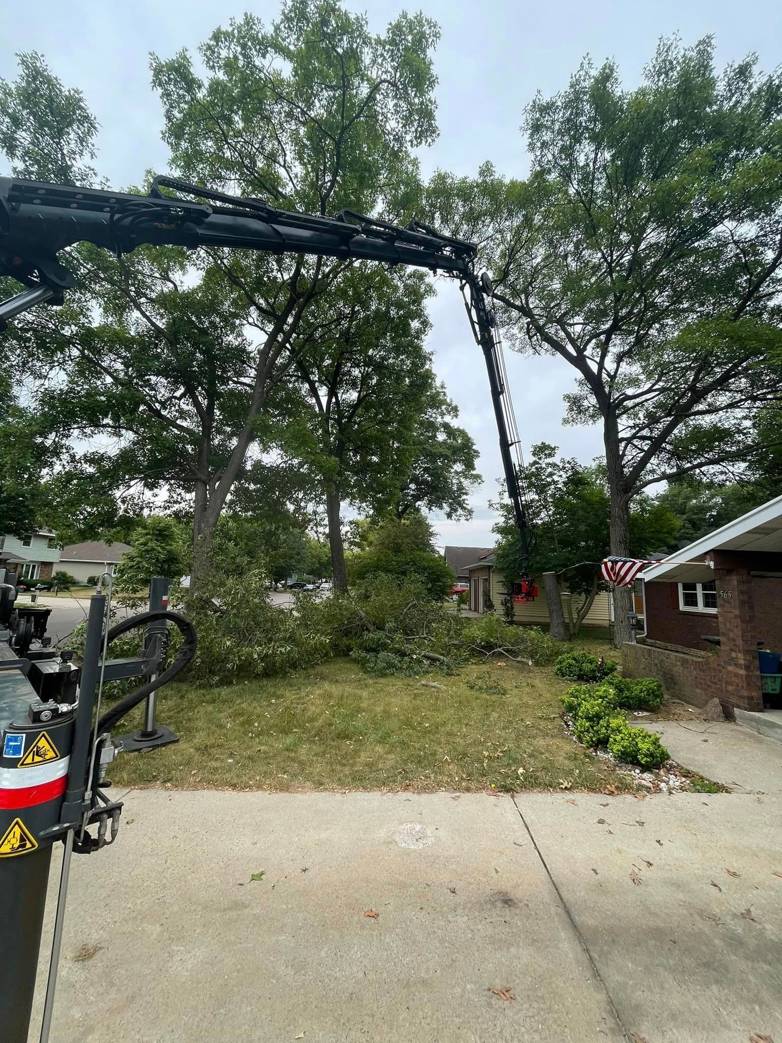 A crane is cutting a tree in front of a house.
