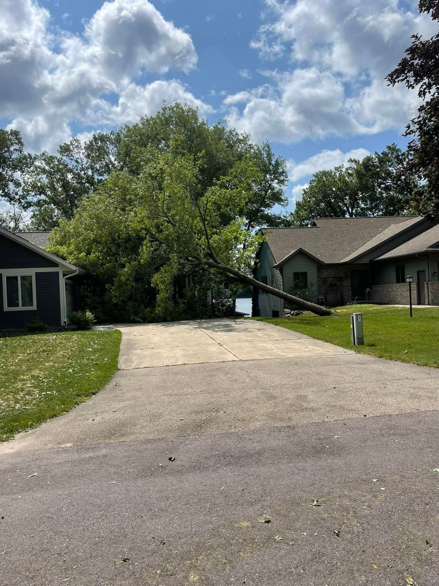 A tree is fallen on the side of the road in front of a house.