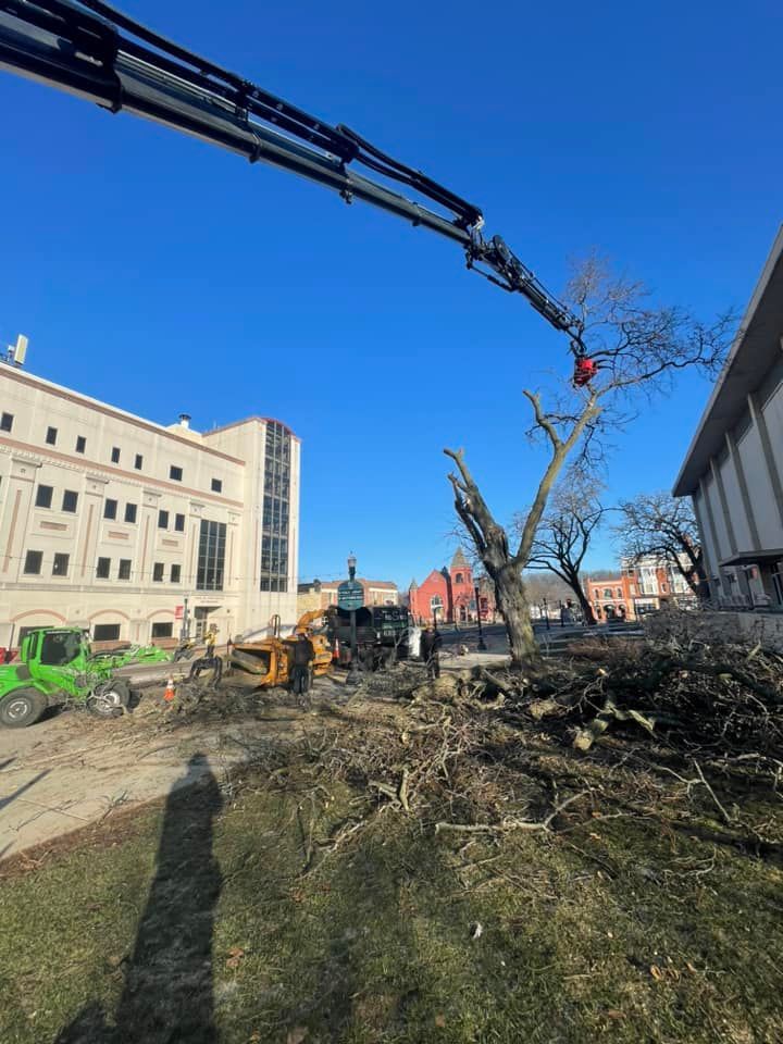A crane is cutting down a tree in front of a building.