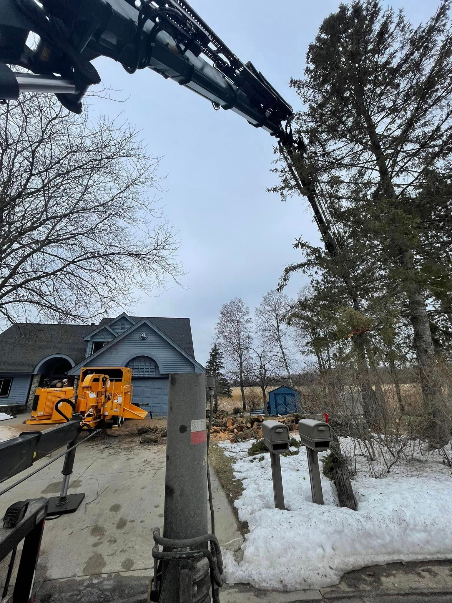 A crane is lifting a tree in front of a house.