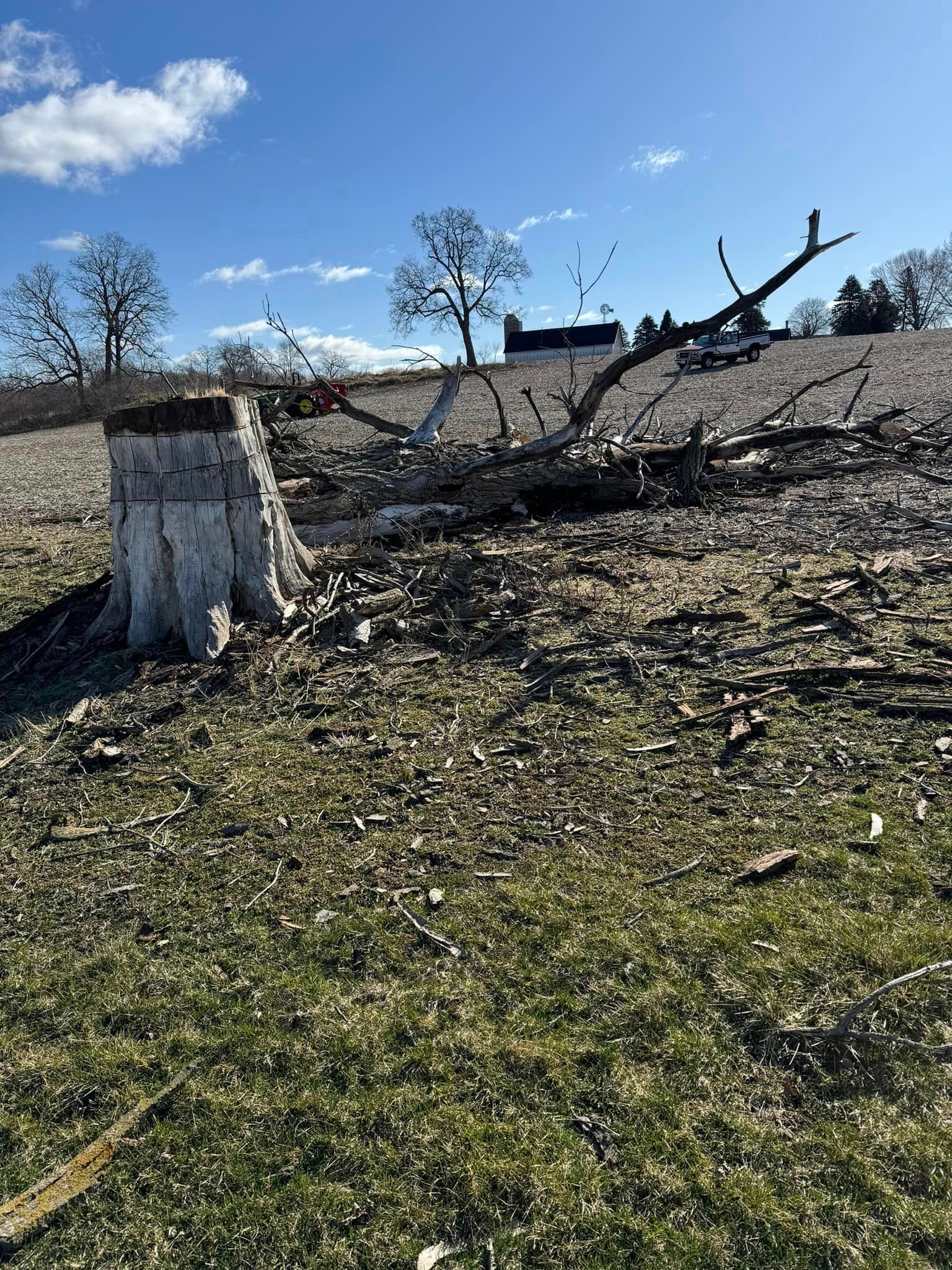 A tree stump in the middle of a field with a house in the background.
