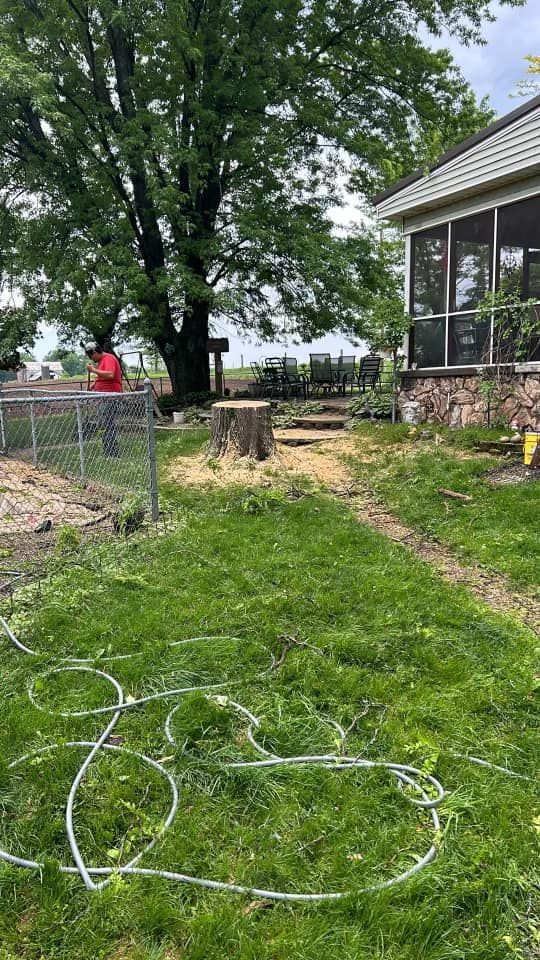 A house with a screened in porch and a large tree in the backyard.