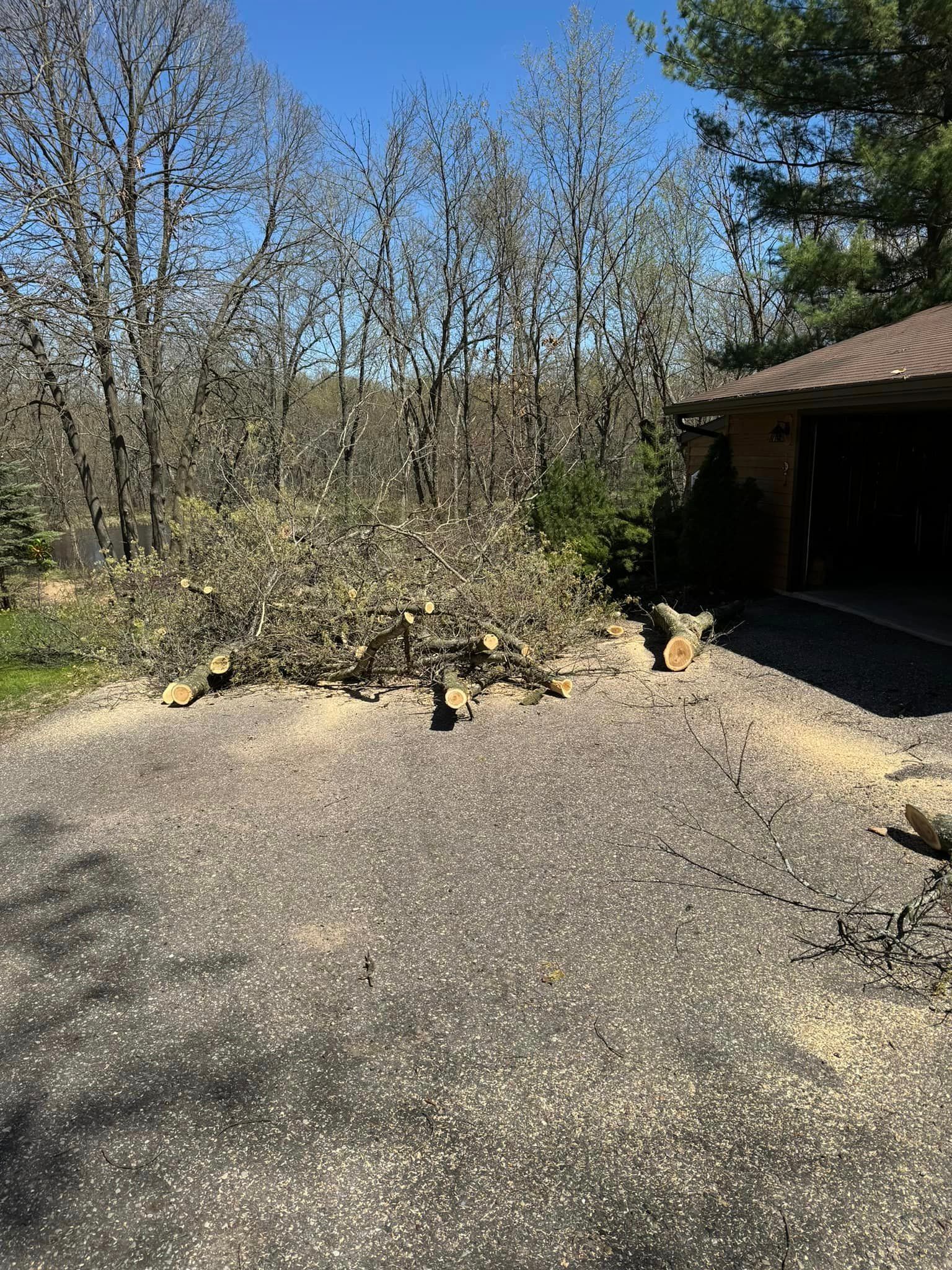 A fallen tree in a driveway next to a house.