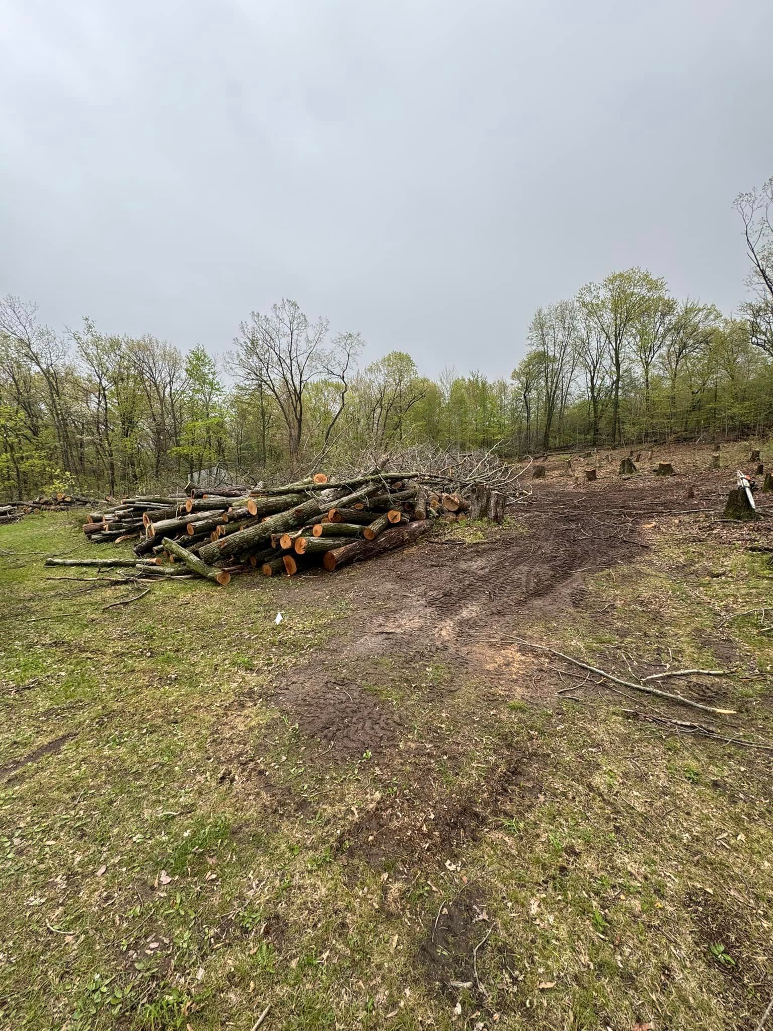 A pile of logs in a field with trees in the background.