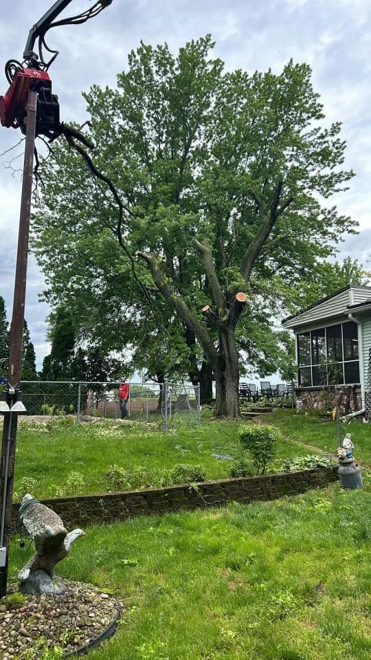 A tree is being cut down in a backyard with a crane.