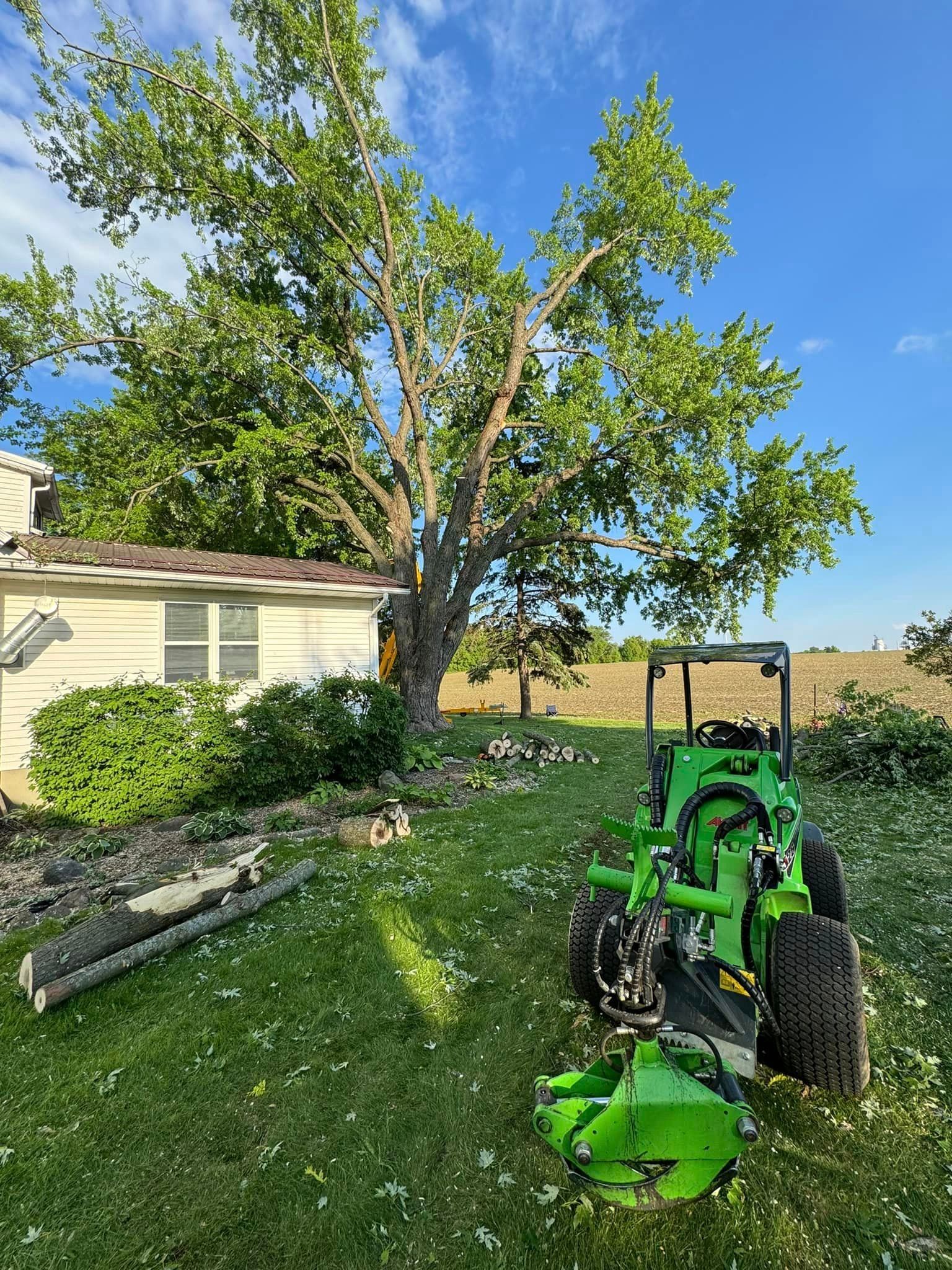 A green tractor is sitting in the grass next to a tree.