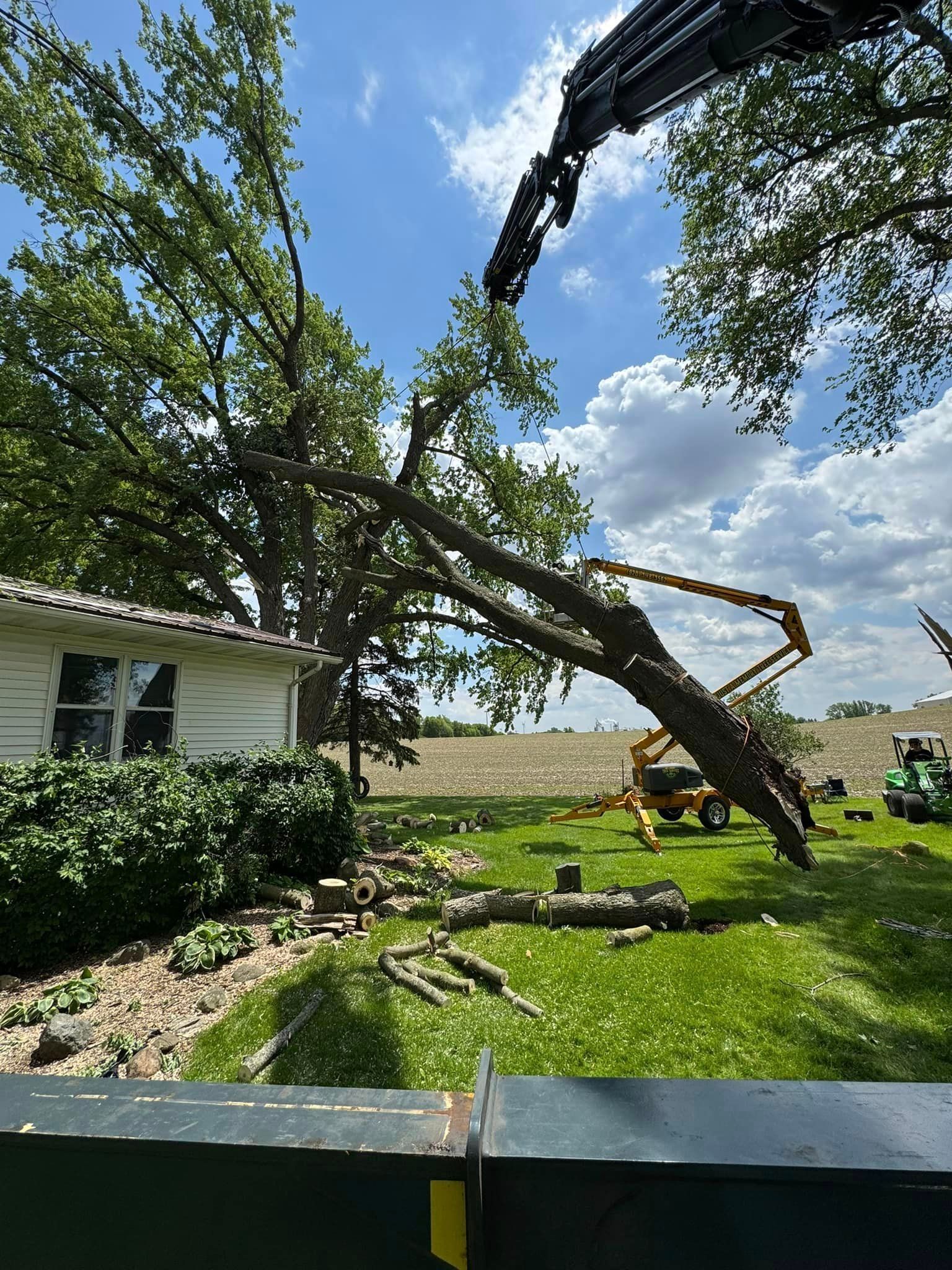 A large tree is being cut down in front of a house.