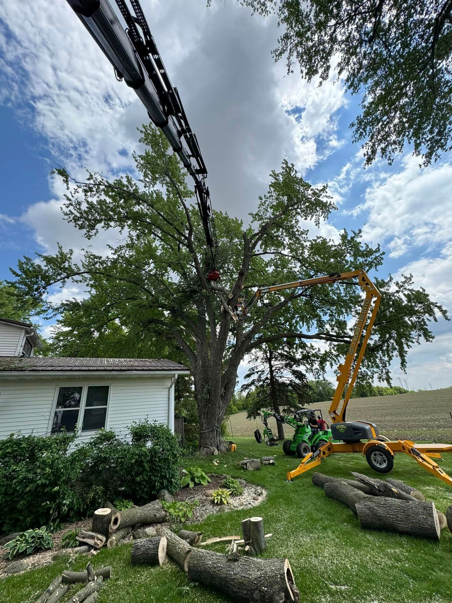 A crane is cutting down a tree in front of a house.