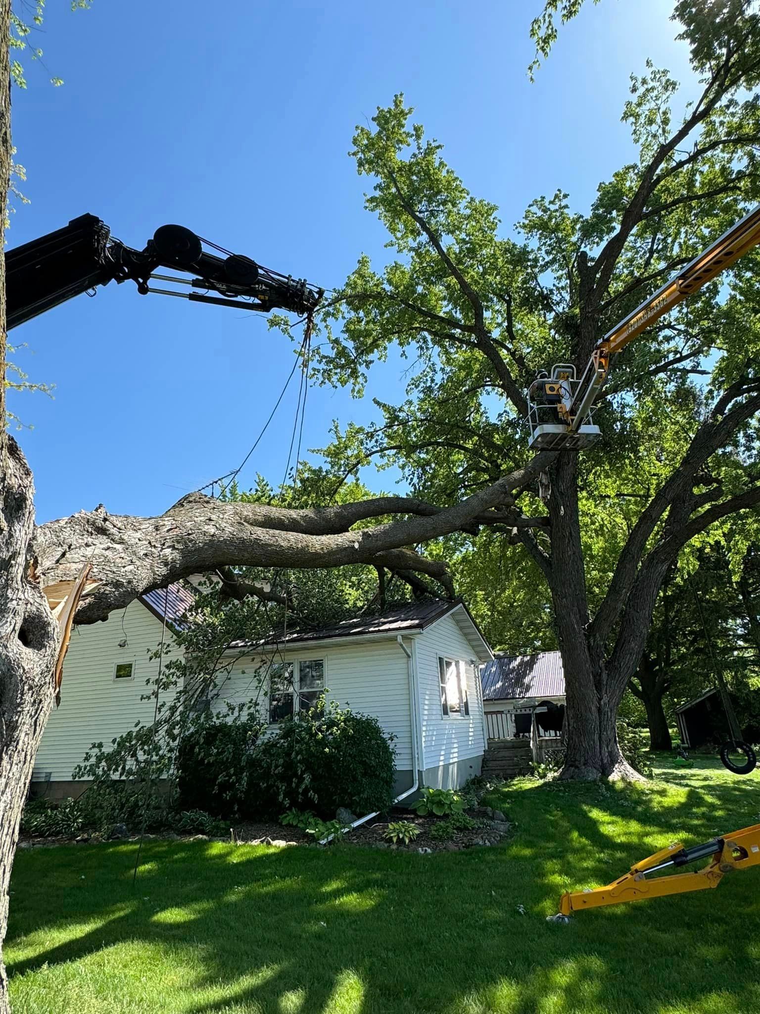 A crane is cutting a tree in front of a house.
