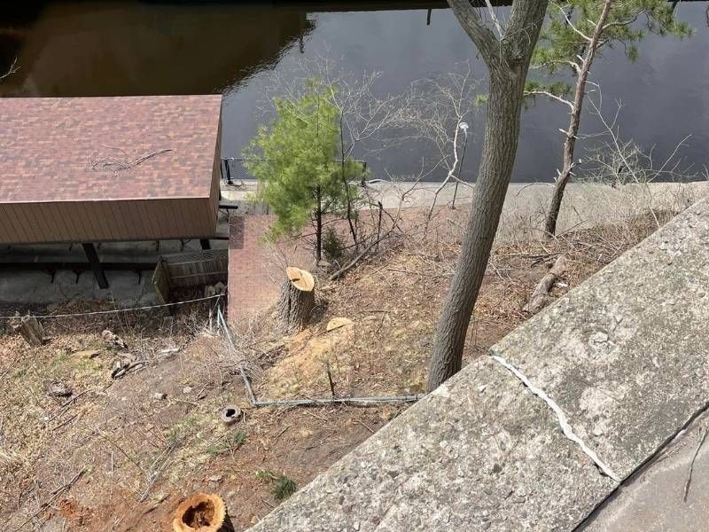 A tree stump is sitting next to a body of water.