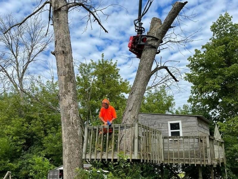 A man is standing on a deck cutting a tree with a chainsaw.