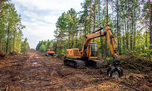 machines clearing land in Victoria