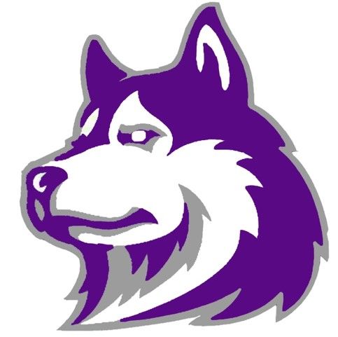 A purple and white husky head on a white background.