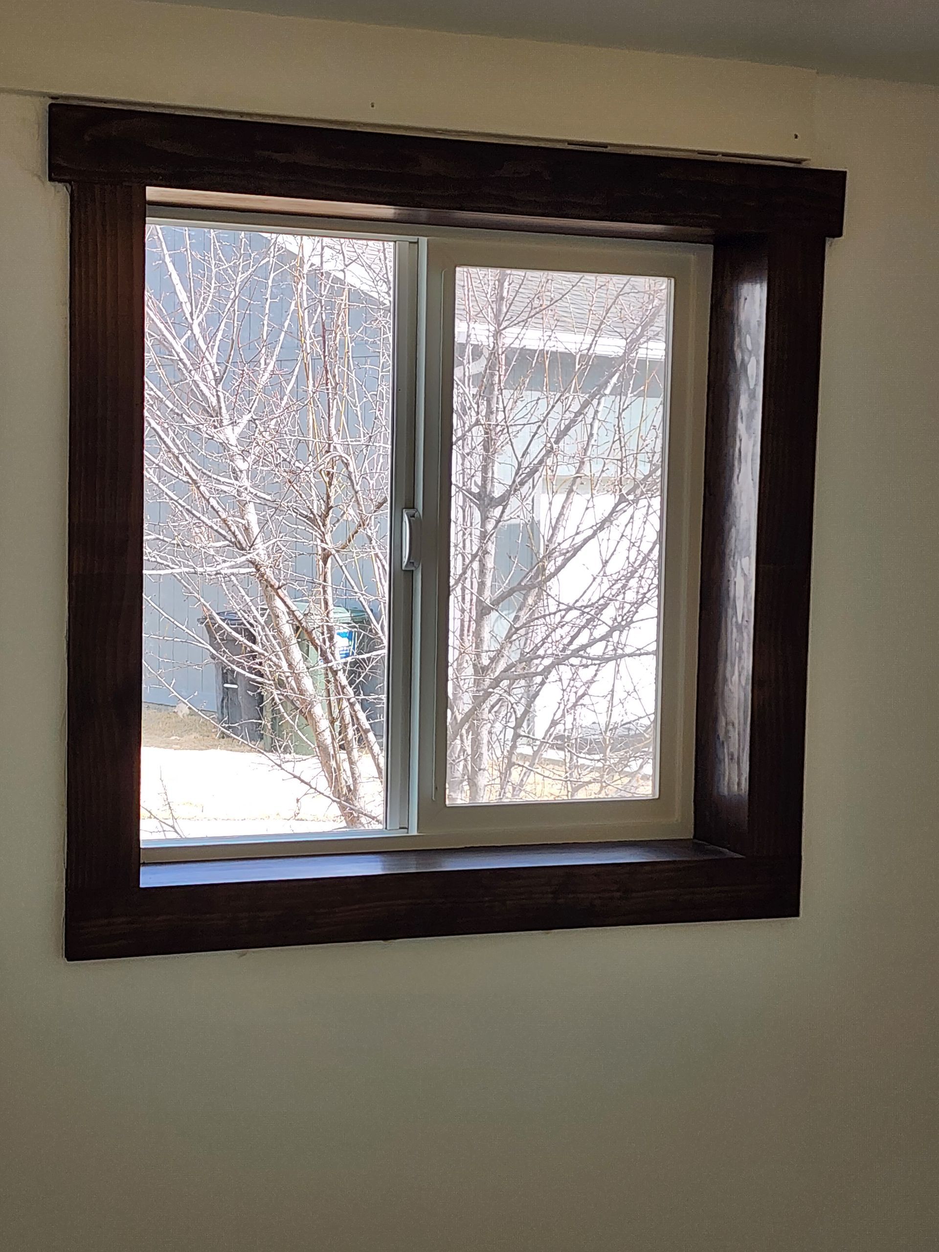 Window with dark wood trim, showing a view of bare tree branches and a building.