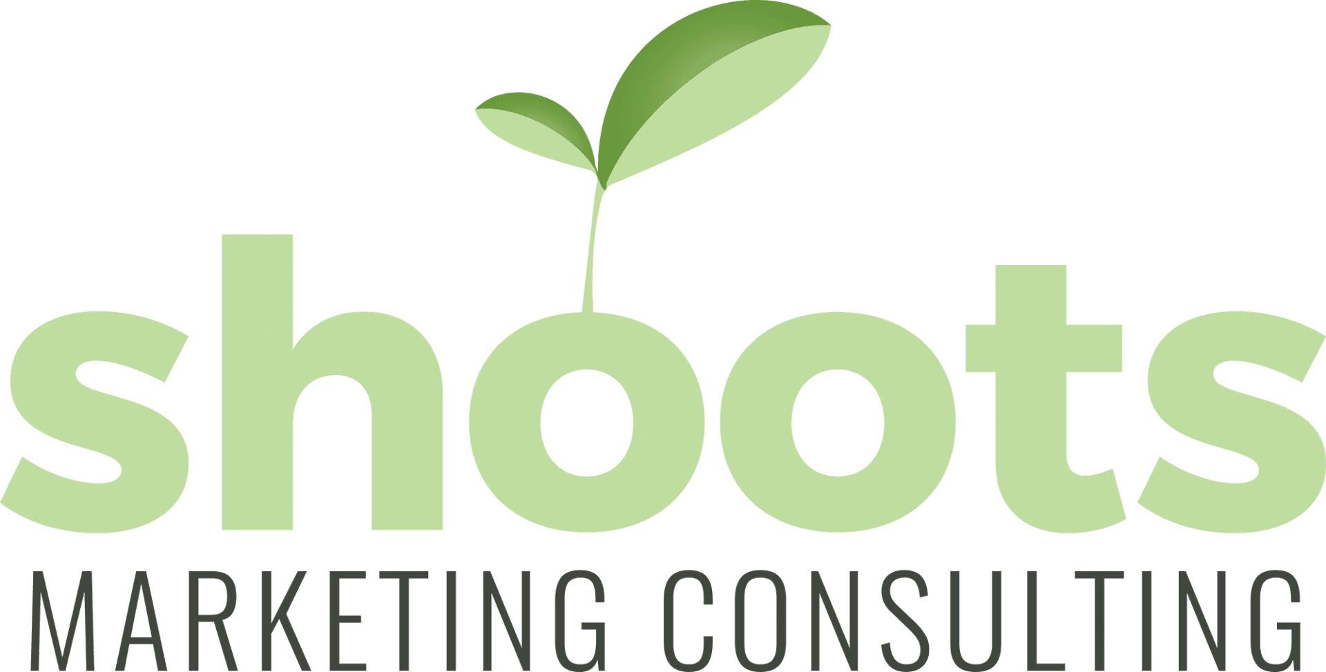 Shoots Marketing Consulting