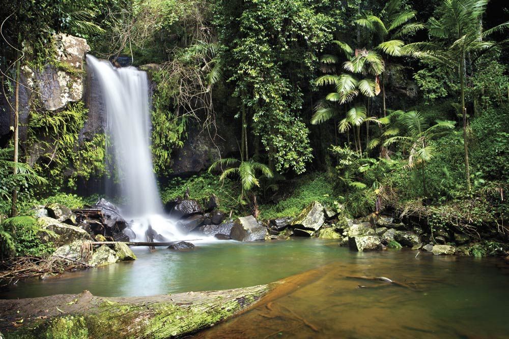 A Waterfall In The Middle Of A Lush Green Forest — Gold Coast Detox and Rehab Services in Gold Coast