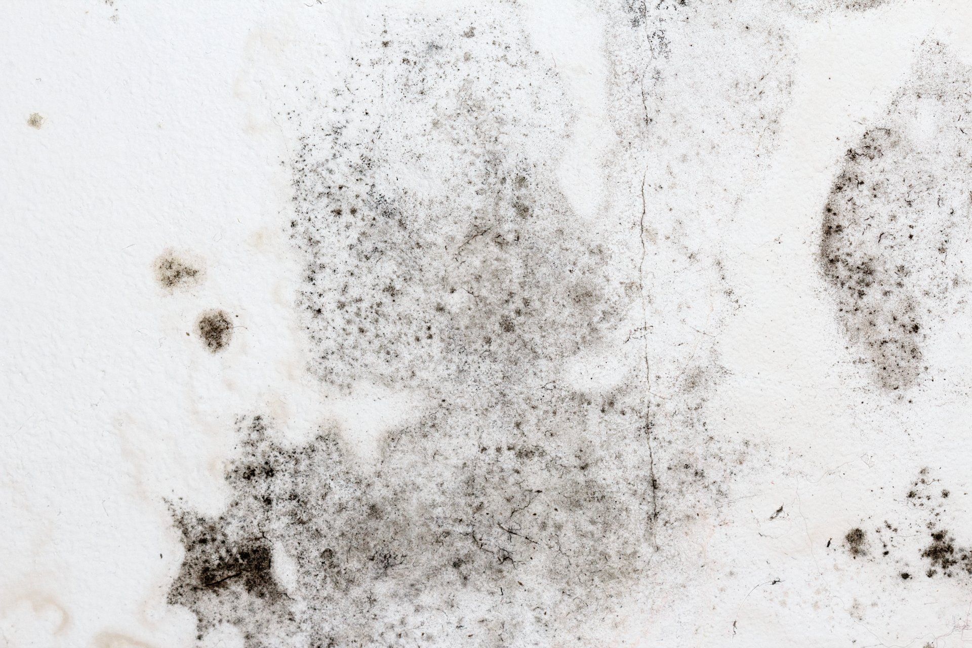 Fungal mold on an interior wall creating health problems for the home owners