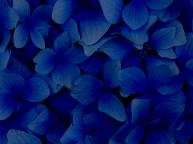 FLORAL WIRE INSTRUCTIONS