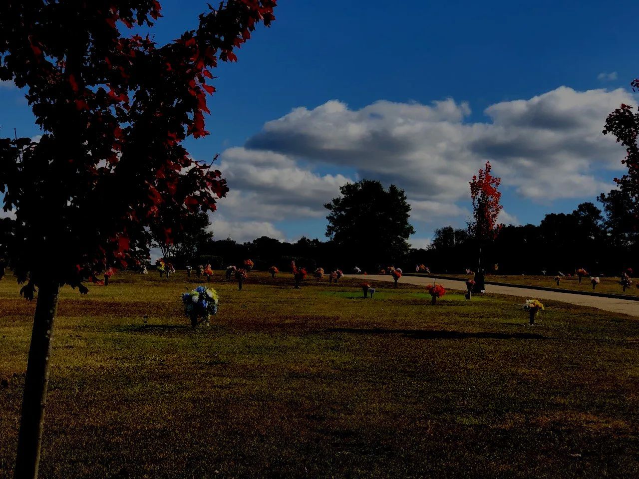 PARK RULES & REGULATIONS