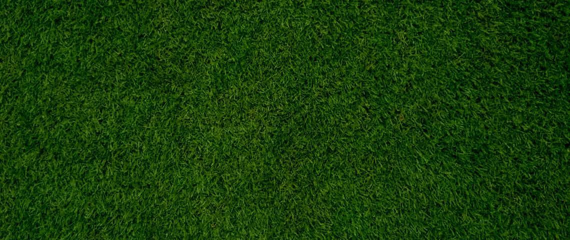 REQUEST MORE INFORMATION