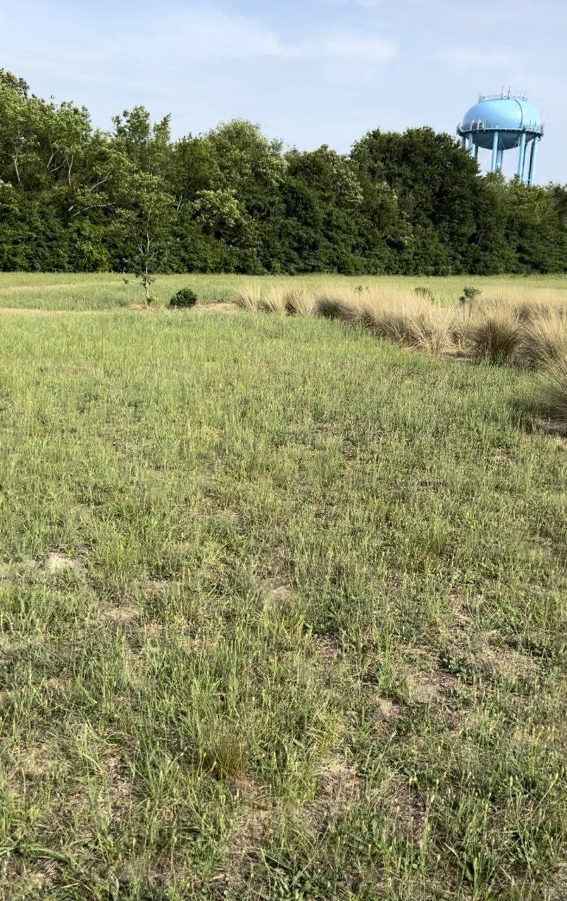 Natural Burial Services 7