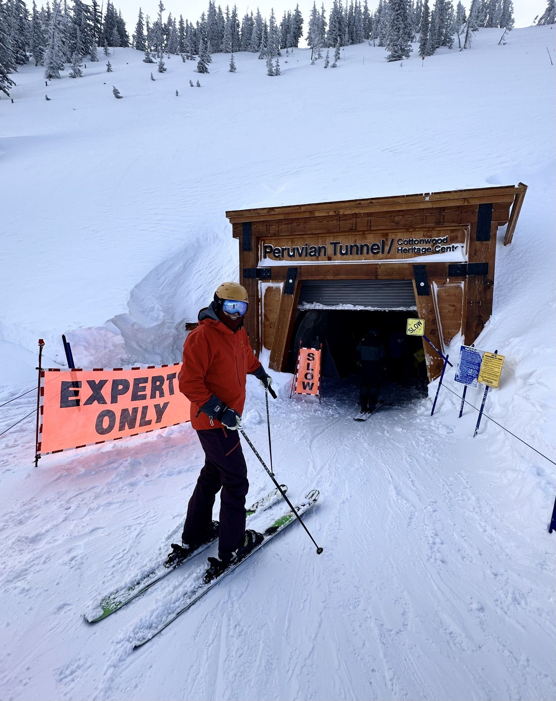 GTO Board Snow Skiing Elite Expert only