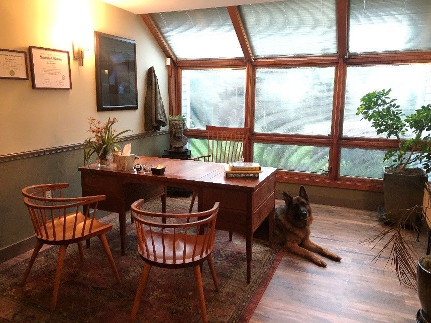 A dog is laying on the floor in a room with a desk and chairs - the albany clinic in carbondale Illinois