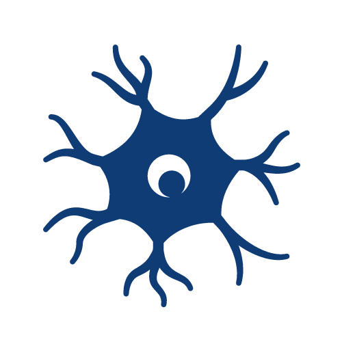 a blue silhouette of a nerve cell on a white background .