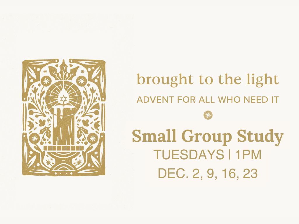 Brought to the Light - Small Group Study