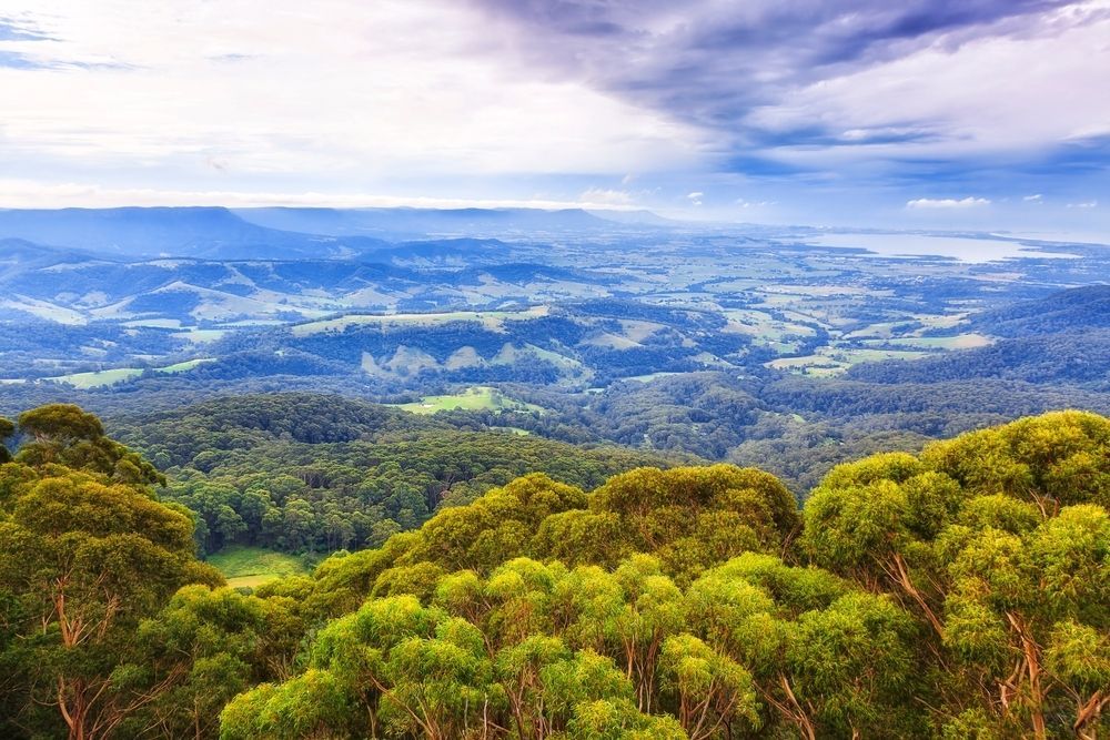 A View of a Lush Green Forest With Mountains in the Background — Active Lifestyle Supports In Shellharbour, NSW