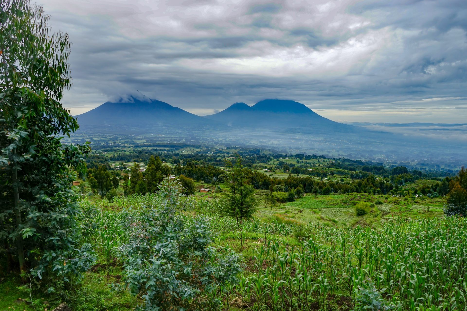 Volcanoes National Park