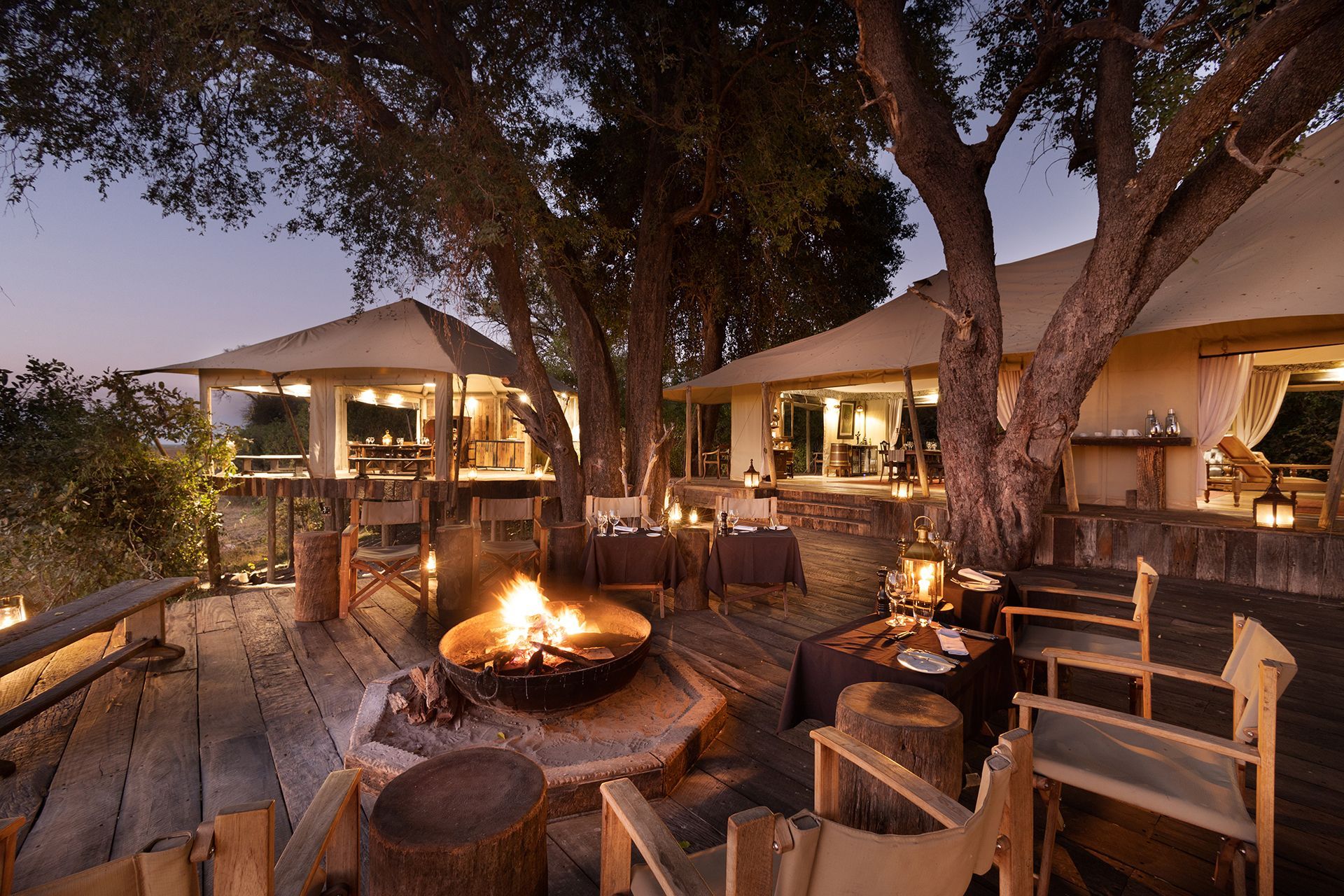 Zarafa Camp, Botswana for a Luxury Safari Honeymoon