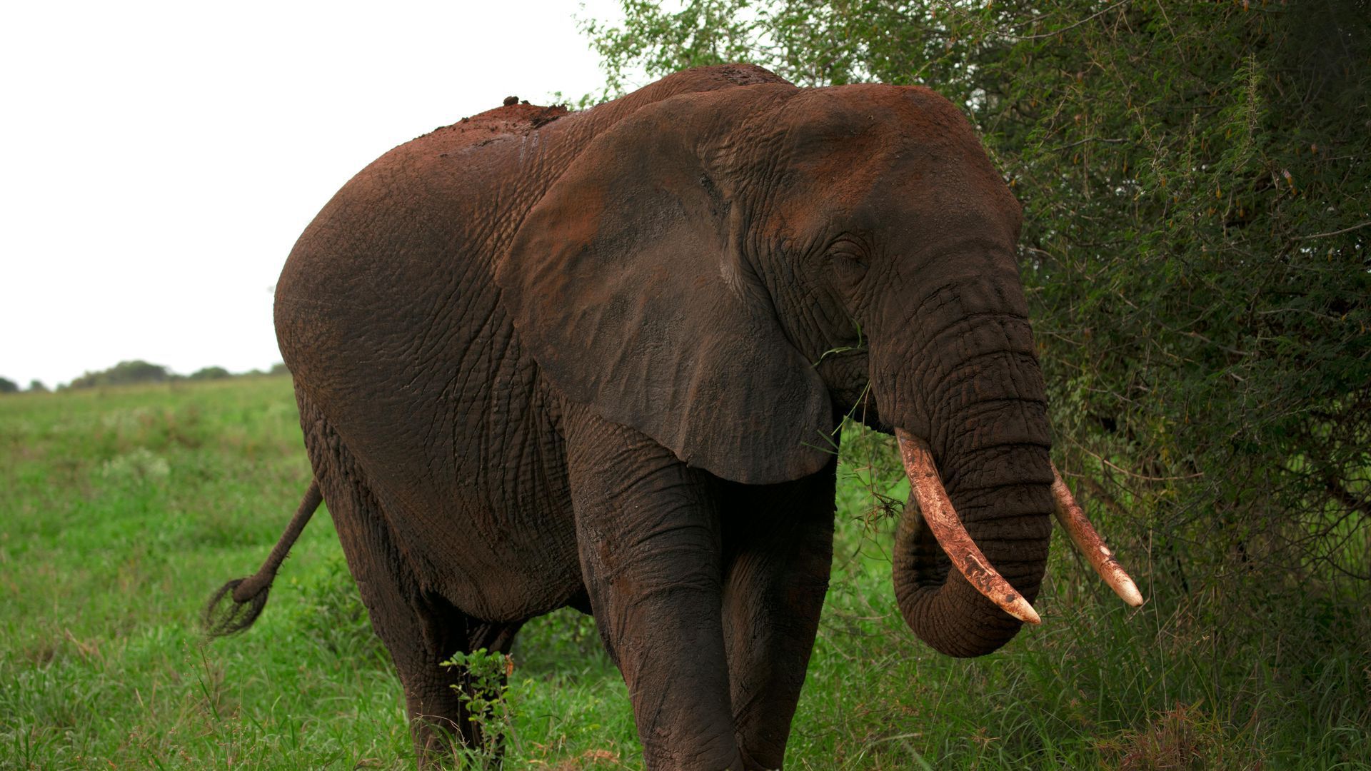 Loango National Park