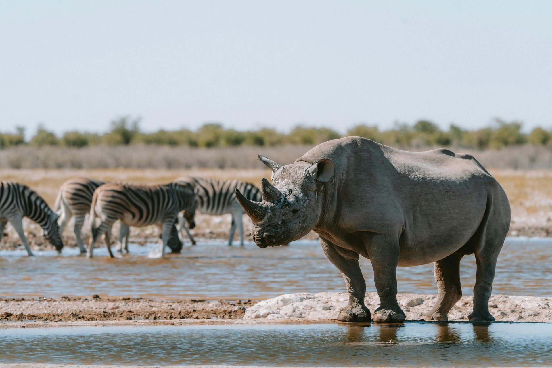 Safari Holidays to Namibia Safaris with Awake in the Wild