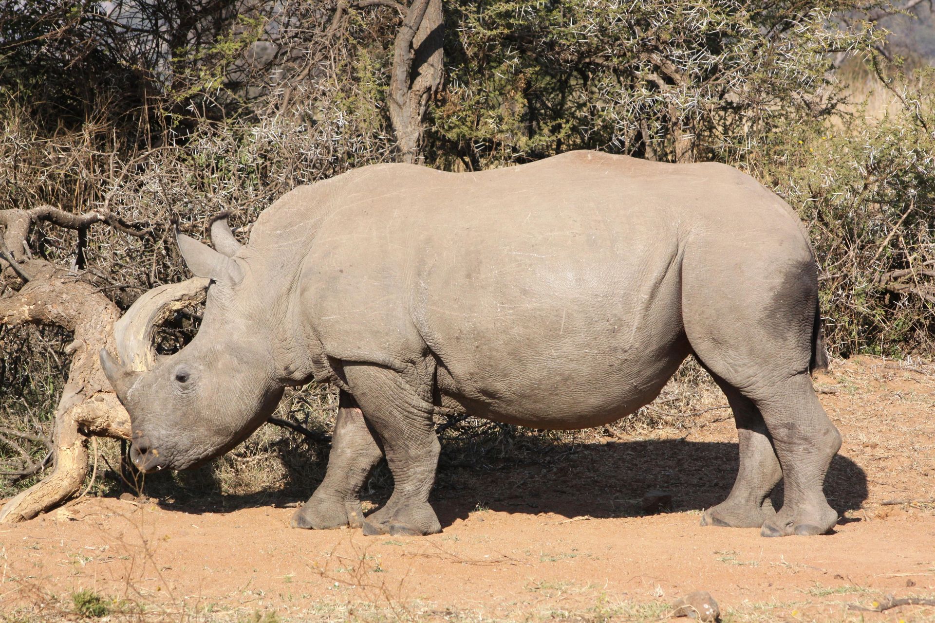 Matobo Hills National Park