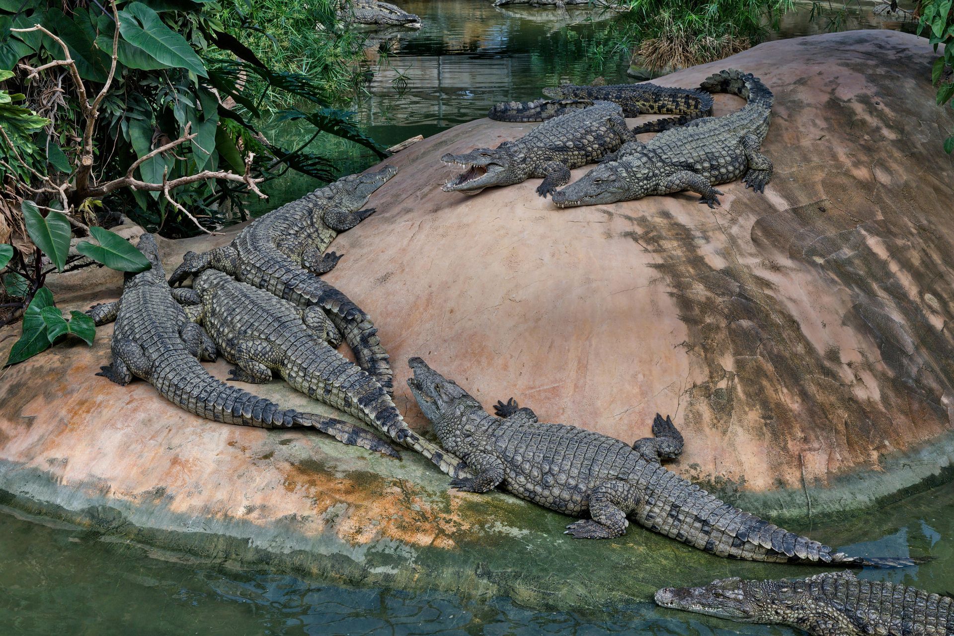 Murchison Falls National Park